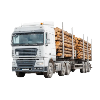 Оснащение согласно ПП РФ 1378 - Аудиторские услуги